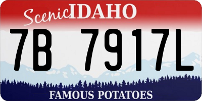 ID license plate 7B7917L