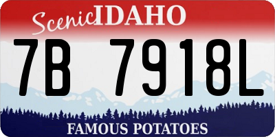 ID license plate 7B7918L