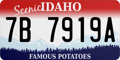 ID license plate 7B7919A