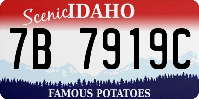 ID license plate 7B7919C