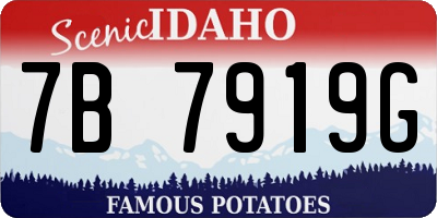 ID license plate 7B7919G