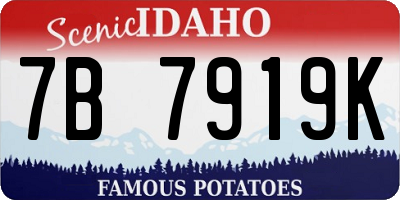 ID license plate 7B7919K