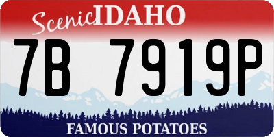 ID license plate 7B7919P