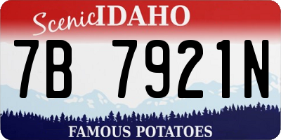 ID license plate 7B7921N