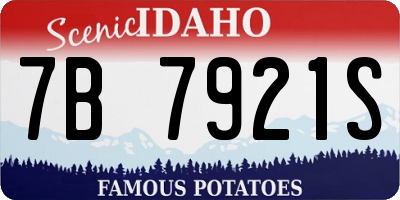 ID license plate 7B7921S