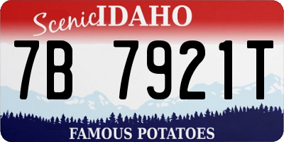 ID license plate 7B7921T