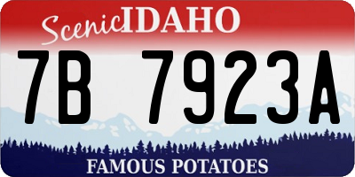 ID license plate 7B7923A