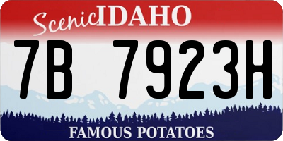 ID license plate 7B7923H
