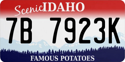ID license plate 7B7923K