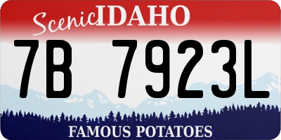 ID license plate 7B7923L