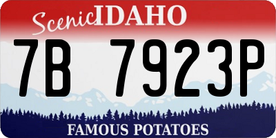 ID license plate 7B7923P