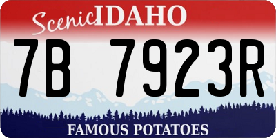 ID license plate 7B7923R