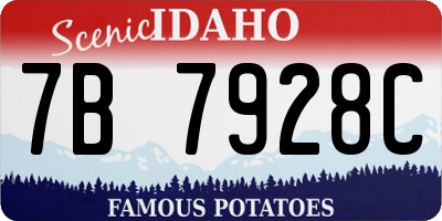 ID license plate 7B7928C