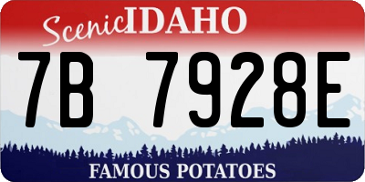 ID license plate 7B7928E