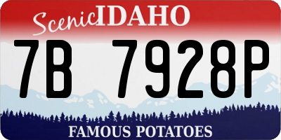 ID license plate 7B7928P