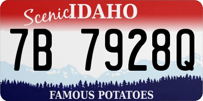 ID license plate 7B7928Q