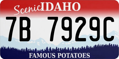 ID license plate 7B7929C