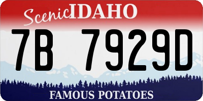 ID license plate 7B7929D