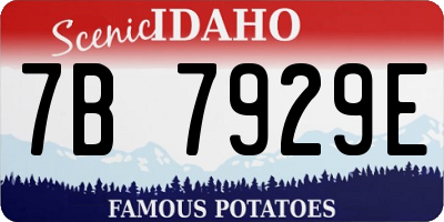 ID license plate 7B7929E