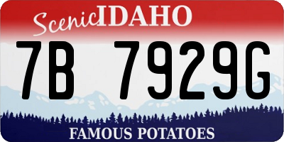 ID license plate 7B7929G