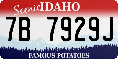 ID license plate 7B7929J
