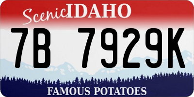 ID license plate 7B7929K