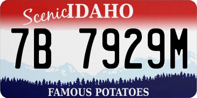 ID license plate 7B7929M