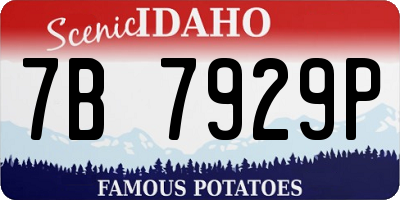 ID license plate 7B7929P
