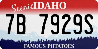 ID license plate 7B7929S