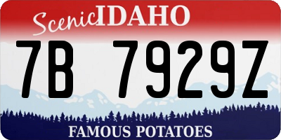 ID license plate 7B7929Z