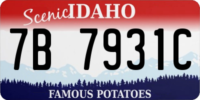 ID license plate 7B7931C