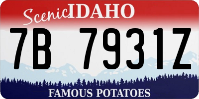ID license plate 7B7931Z
