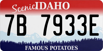 ID license plate 7B7933E