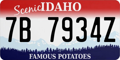 ID license plate 7B7934Z