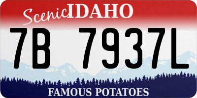 ID license plate 7B7937L