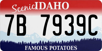 ID license plate 7B7939C
