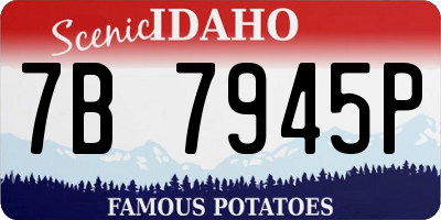 ID license plate 7B7945P