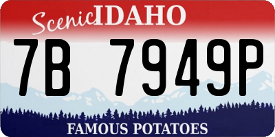 ID license plate 7B7949P