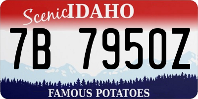 ID license plate 7B7950Z