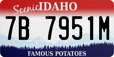 ID license plate 7B7951M