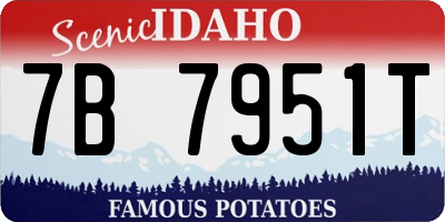 ID license plate 7B7951T
