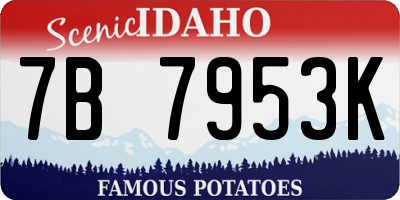 ID license plate 7B7953K