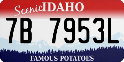 ID license plate 7B7953L