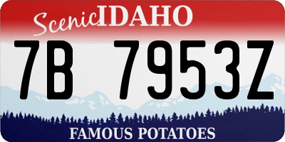 ID license plate 7B7953Z