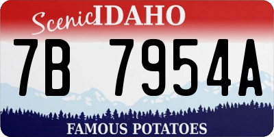 ID license plate 7B7954A