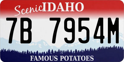 ID license plate 7B7954M