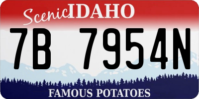 ID license plate 7B7954N