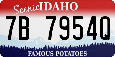 ID license plate 7B7954Q