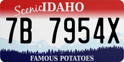 ID license plate 7B7954X