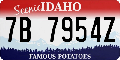 ID license plate 7B7954Z